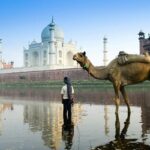 India travel guide
