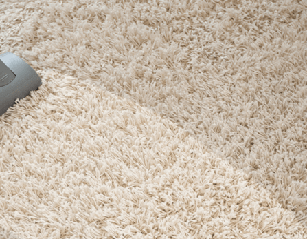 Toledo carpet cleaning company